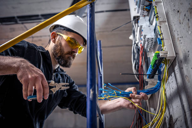 Best Ceiling Fan Installation Electrician  in Toledo, IA
