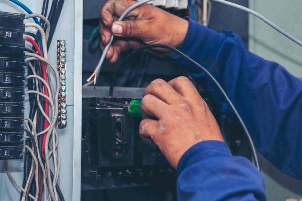 Best Electrician Near Me  in Toledo, IA